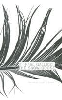 The snow goose