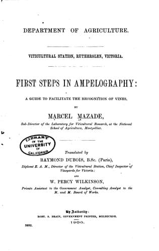 First steps in ampelography