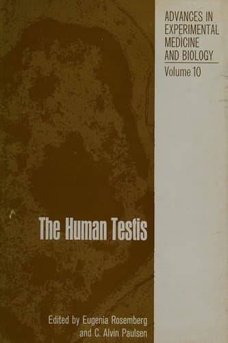 The human testis